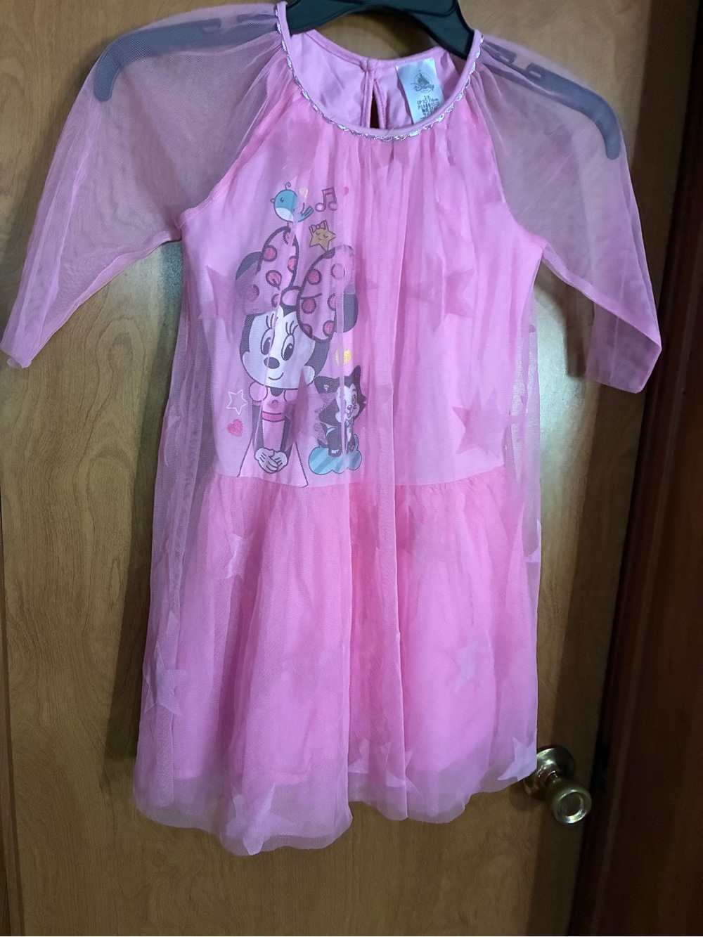 Pink Minnie Mouse Mesh Overlay Dress 5 Girls